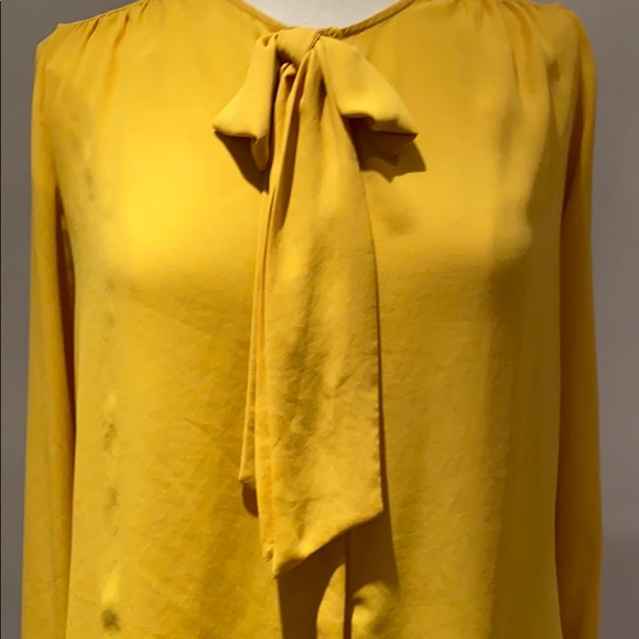 Zara Flowy Semi-Sheer Blouse - Picture 2 of 5